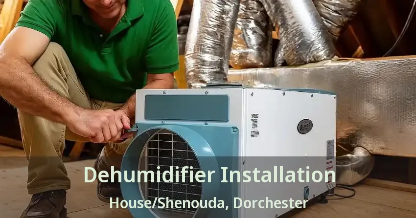 Dehumidifier Installation House/Shenouda, Dorchester - ON