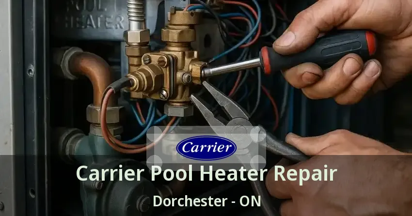 Carrier Pool Heater Repair Dorchester - ON