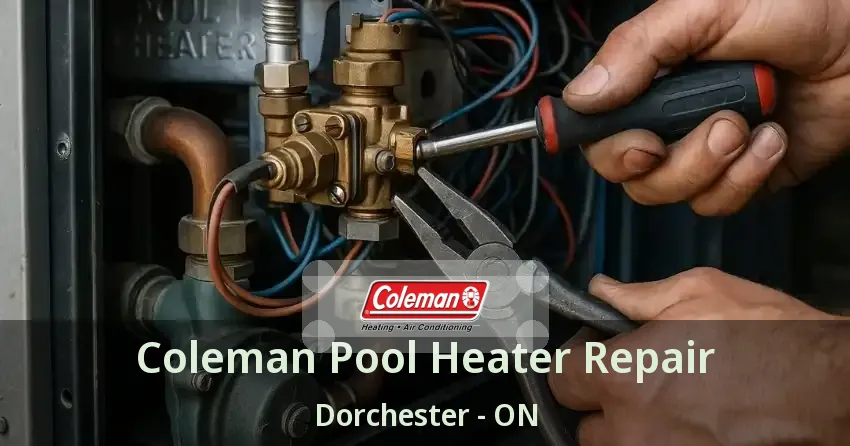 Coleman Pool Heater Repair Dorchester - ON